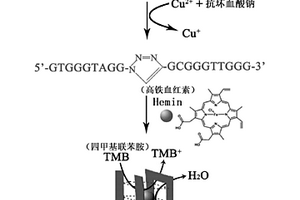 基于点击化学和G四聚体的铜离子检测试剂盒以及检测方法