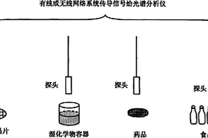 用基于纳米结构的光谱检测方法检测化学物和生化物杂质