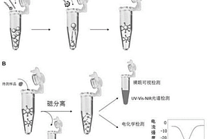 基于中空金纳米粒-DNA复合物的生物/化学检测试剂和检测方法