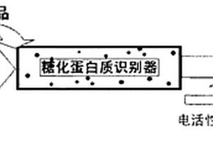 糖化血红蛋白含量的电化学检测方法及检测装置