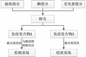 化学发光检测法的检测校准系统建立方法、检测校准方法