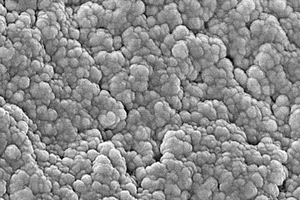 四环素类药物的广谱特异性分子印迹聚合物、化学发光试剂盒及应用
