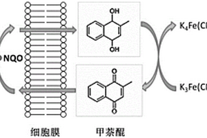 检测水体急性生物毒性的双电子介体电化学生物传感器及其应用