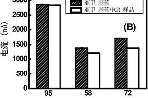 基于亚甲基蓝指示剂定量检测PCR的电化学安培检测法