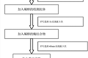 人前蛋白转化酶枯草溶菌素9化学发光检测试剂和检测试剂盒与应用