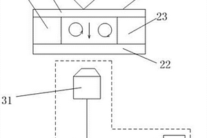 基于热泳检测利用化学发光的前列腺癌检测系统及方法