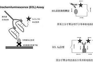 检测胰岛素抗体各亚型的电化学发光法检测试剂盒