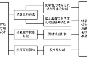 透明质酸化学发光免疫检测试剂盒及其制备方法
