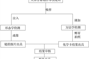 可同时进行镜检与化学卡检测的分析仪