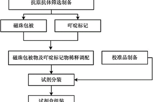 糖类抗原724化学发光免疫检测试剂盒及其制备方法