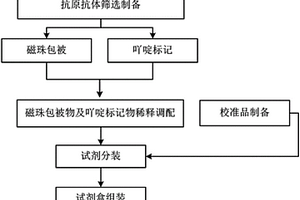 呼吸道合胞病毒化学发光免疫检测试剂盒及其制备方法