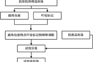 Ⅳ型胶原化学发光免疫检测试剂盒及其制备方法
