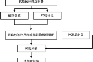 血清透明质酸化学发光免疫检测试剂盒及其制备方法