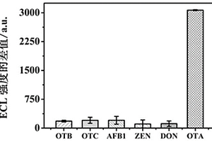 检测赭曲霉毒素A的电化学发光免疫传感器的制备和应用