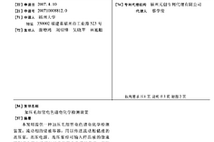 加压毛细管电色谱电化学检测装置