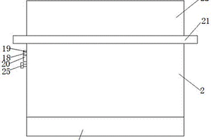 用于胰岛素检测的全自动化学发光仪