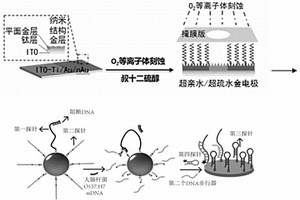 用于食源性微生物检测的微液滴电化学传感器及制备方法