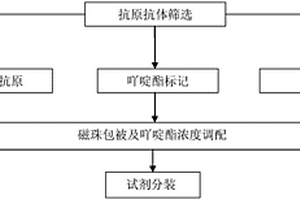 检测巨细胞病毒IgG抗体化学发光免疫分析测定试剂盒及其制备方法