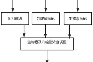 检测人生长激素化学发光免疫分析测定试剂盒及其制备方法