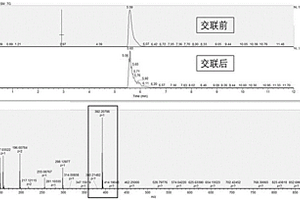 基于化学蛋白质组学的激酶富集检测方法