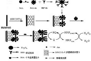 用于检测青霉素的电化学生物传感器及其制备方法和应用