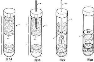 确定尿液中分析物和/或化学-物理参数及确定尿沉淀的容器和用该容器分析全尿的方法