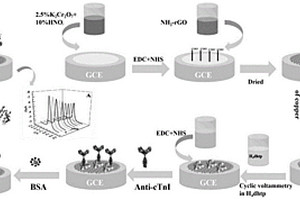 心肌肌钙蛋白I的免标记电化学传感器制备方法及对cTnI的检测方法