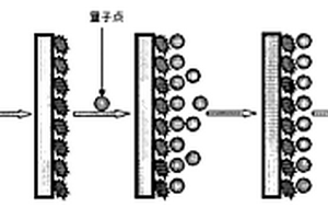 检测痕量农药残留物的分子印迹化学发光传感器及其应用