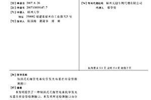 倾斜式毛细管电泳化学发光双重在柱套管检测接口