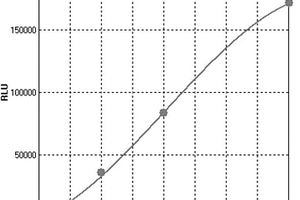 中枢神经特异蛋白的化学发光酶联免疫检测试剂盒