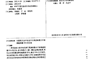 双重放大技术电化学石英晶体微天平检测超痕量DNA的方法