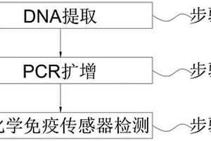 电化学免疫用DNA甲基化特异性检测方法