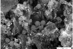 用于非标记检测4-氯苯酚的光电化学传感器的构建方法