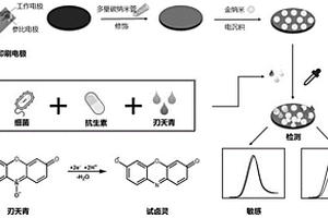细菌耐药性电化学检测方法