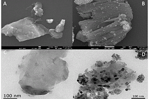 基于比色法构建光电致变色可视化传感器检测化学需氧量的方法