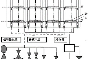 基于电化学免疫法检测抗原的装置