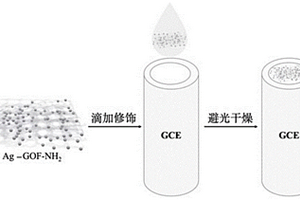 用于检测氯离子的电化学传感器电极及其制备方法和应用