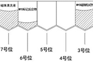 肌红蛋白磁微粒化学发光检测试剂盒及其使用方法