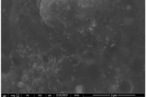 AFB<sub>1</sub>电化学免疫传感器及其制备方法及其用于AFB<sub>1</sub>的检测