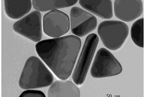 基于氮硫共掺杂石墨烯负载三角核壳纳米复合材料构建的电化学传感器及用于槲皮素的检测