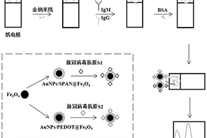 电化学免疫检测新型冠状病毒试剂盒的制备方法和产品及其使用方法
