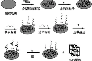 用于检测铅的电化学传感器及其制备方法和应用