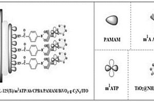 基于Ti-MOF的光电化学传感器检测N<sup>1</sup>-甲基腺嘌呤的方法