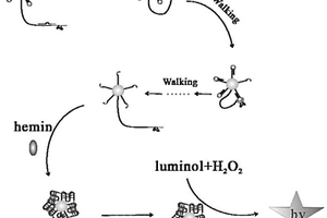 检测啶虫脒的化学发光传感器及其制备方法