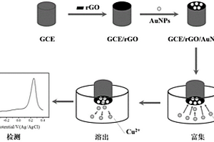 利用纳米金-石墨烯复合电极检测Cu<sup>2+</sup>的电化学方法
