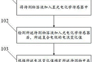 基于光电化学传感器的汞离子浓度的检测方法