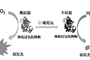 基于化学发光体系的硫化氢检测方法