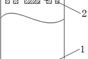 快速检测痕量重金属离子的电化学探头