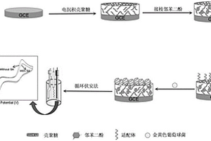 检测金黄色葡萄球菌的电化学适配体传感器及其制备方法与应用方法