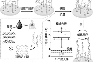 基于双标记扩增的血浆循环甲基化DNA电化学检测方法及试剂盒